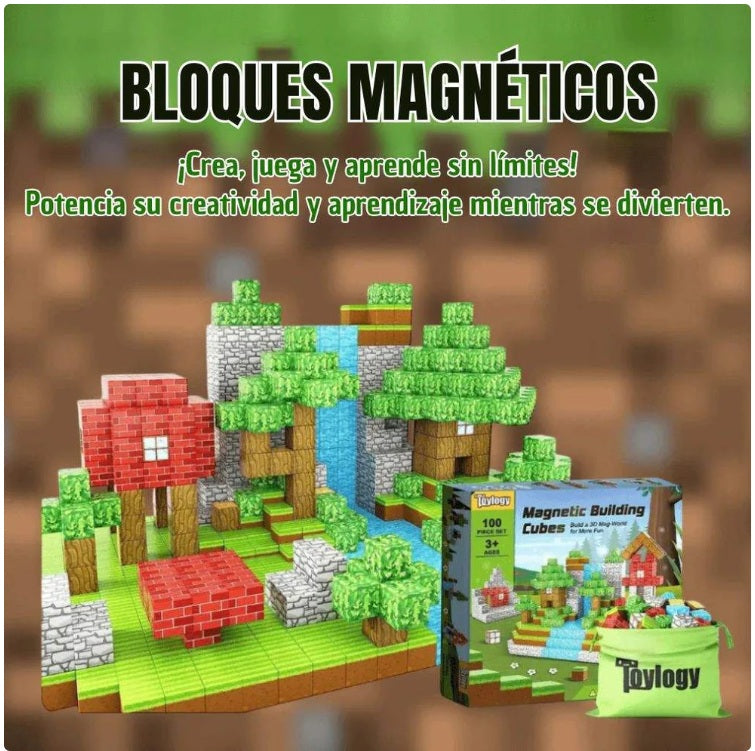 BLOQUES MANGNETICOS PREMIUM 75 PIEZAS